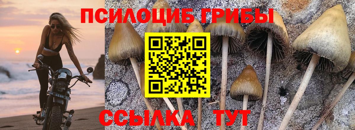 Галлюциногенные грибы мухоморы Орск