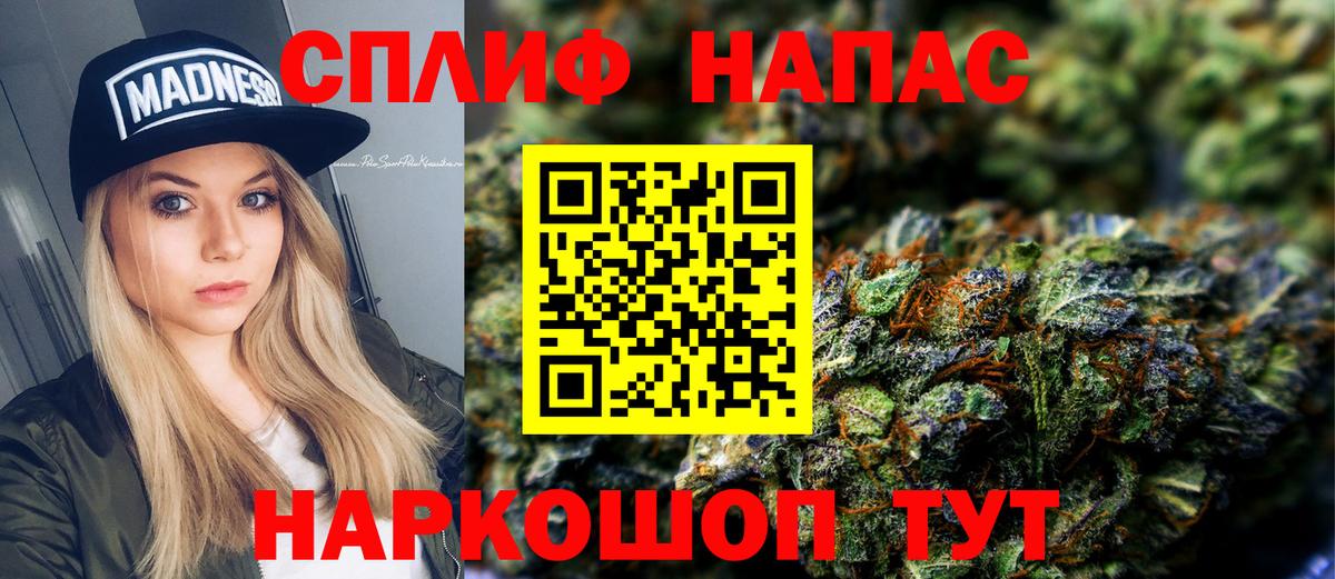 Конопля гибрид Орск